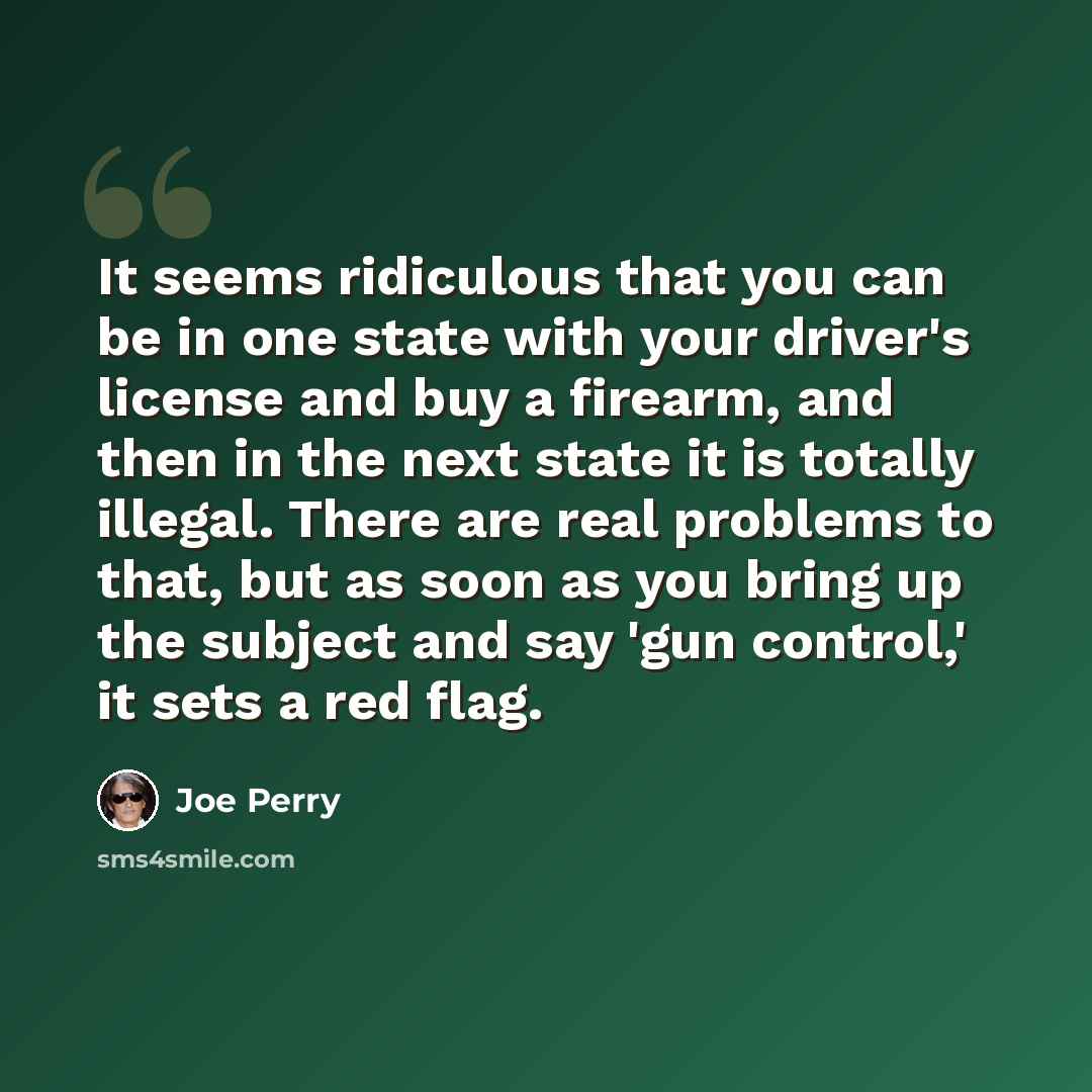 “It seems ridiculous that you can be in one state with your driver's license and buy a firearm, and then in the next state it is totally illegal. There are real problems to that, but as soon as you bring up the subject and say 'gun control,' it sets a red flag.” quote by Joe Perry
