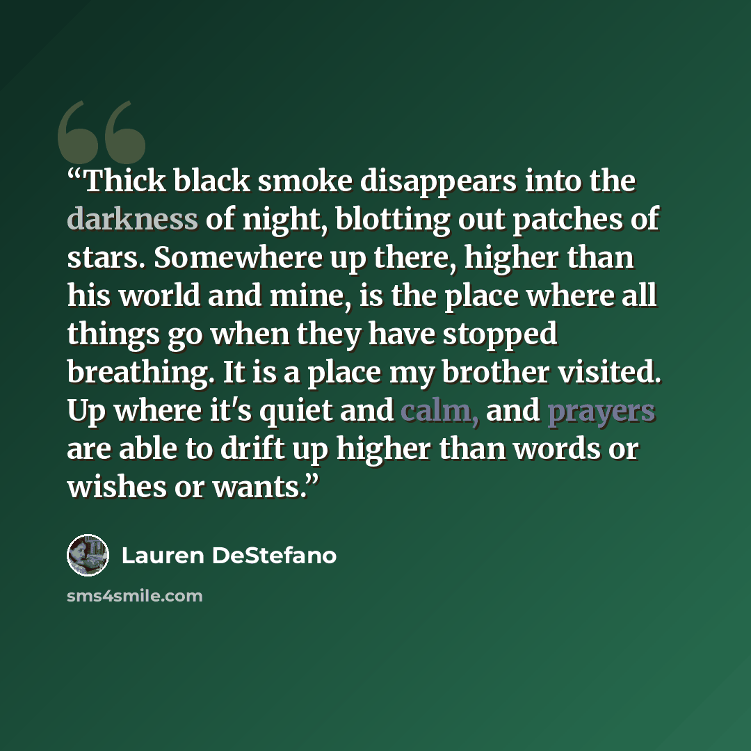 “Thick black smoke disappears into the darkness of night, blotting out patches of stars. Somewhere up there, higher than his world and mine, is the place where all things go when they have stopped breathing. It is a place my brother visited. Up where it's quiet and calm, and prayers are able to…” quote by Lauren DeStefano