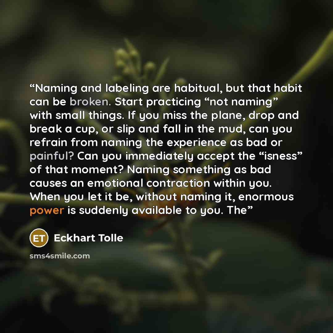 “Naming and labeling are habitual, but that habit can be broken. Start practicing “not naming” with small things. If you miss the plane, drop and break a cup, or slip and fall in the mud, can you refrain from naming the experience as bad or painful? Can you immediately accept the “isness” of that…” quote by Eckhart Tolle