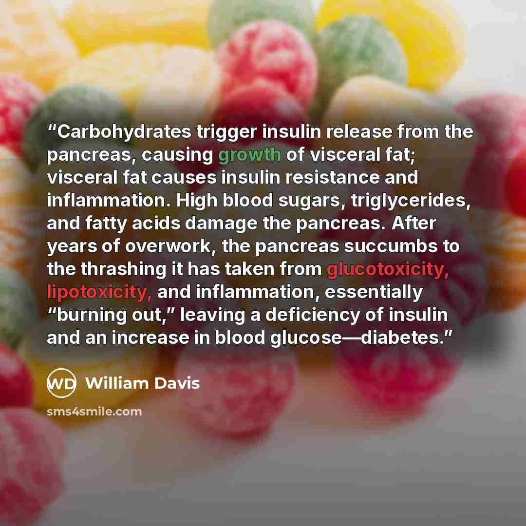 “Carbohydrates trigger insulin release from the pancreas, causing growth of visceral fat; visceral fat causes insulin resistance and inflammation. High blood sugars, triglycerides, and fatty acids damage the pancreas. After years of overwork, the pancreas succumbs to the thrashing it has taken from…” quote by William Davis