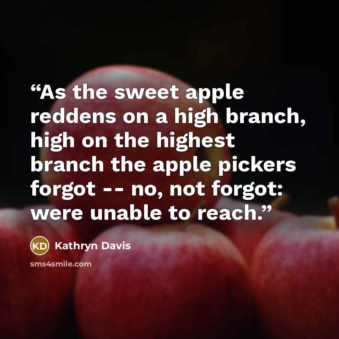 “As the sweet apple reddens on a high branch, high on the highest branch the apple pickers forgot -- no, not forgot: were unable to reach.” quote by Kathryn Davis