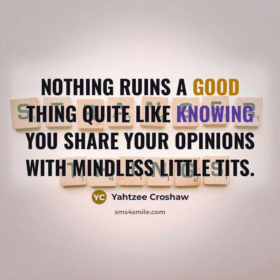 “Nothing ruins a good thing quite like knowing you share your opinions with mindless little tits.” quote by Yahtzee Croshaw