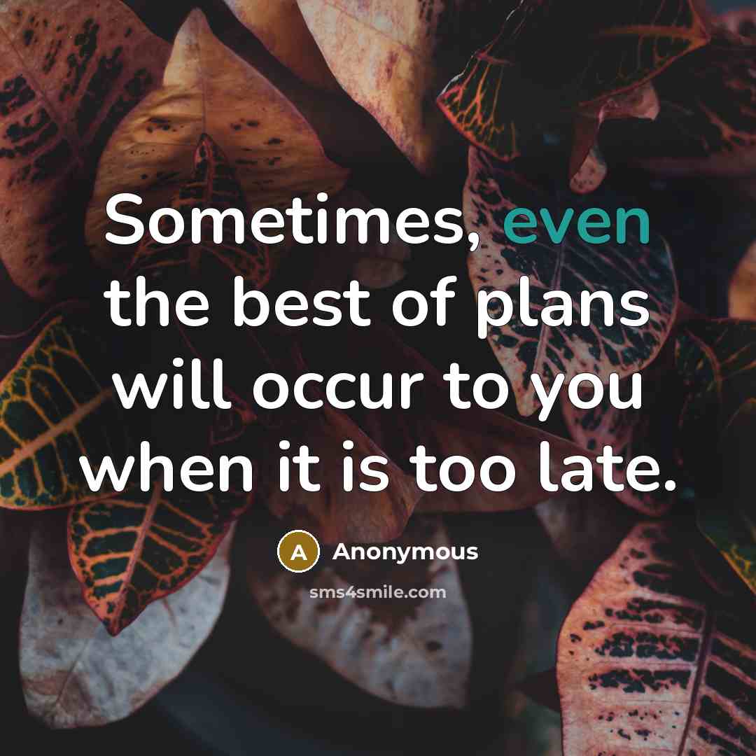 “Sometimes, even the best of plans will occur to you when it is too late.” quote by Anonymous