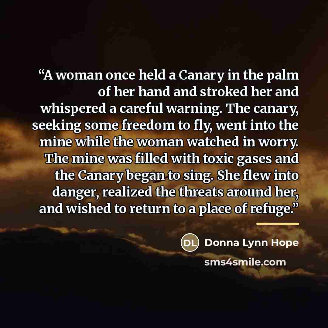 “A woman once held a Canary in the palm of her hand and stroked her and whispered a careful warning. The canary, seeking some freedom to fly, went into the mine while the woman watched in worry. The mine was filled with toxic gases and the Canary began to sing. She flew into danger, realized the…” quote by Donna Lynn Hope