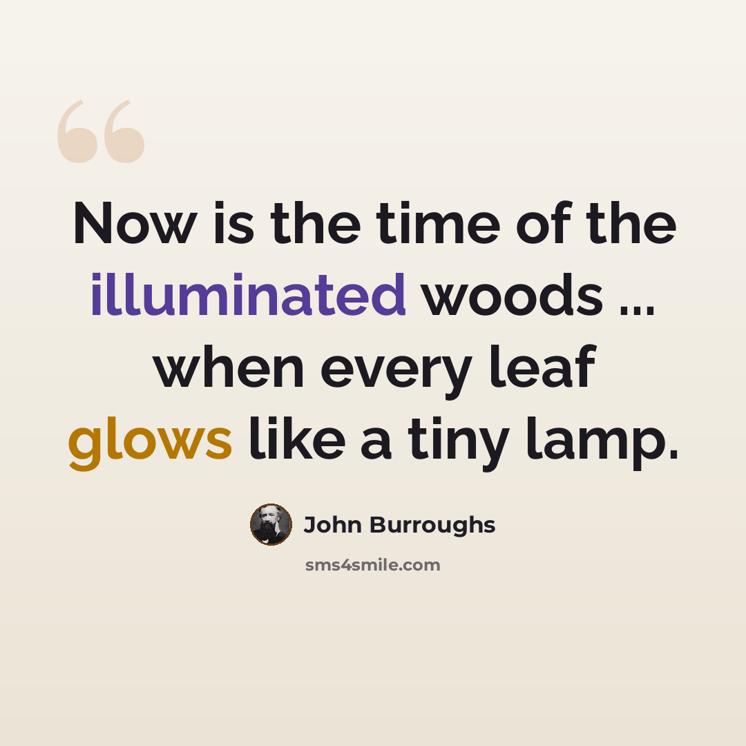 “Now is the time of the illuminated woods ... when every leaf glows like a tiny lamp.” quote by John Burroughs