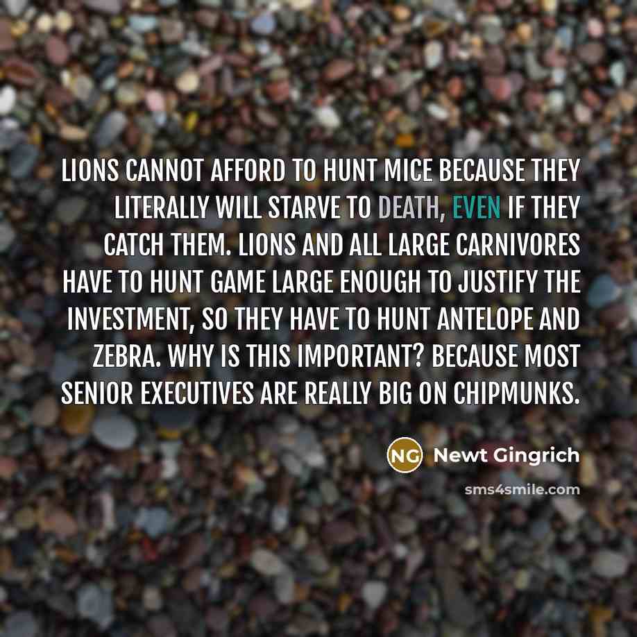 “Lions cannot afford to hunt mice because they literally will starve to death, even if they catch them. Lions and all large carnivores have to hunt game large enough to justify the investment, so they have to hunt antelope and zebra. Why is this important? Because most senior executives are really…” quote by Newt Gingrich