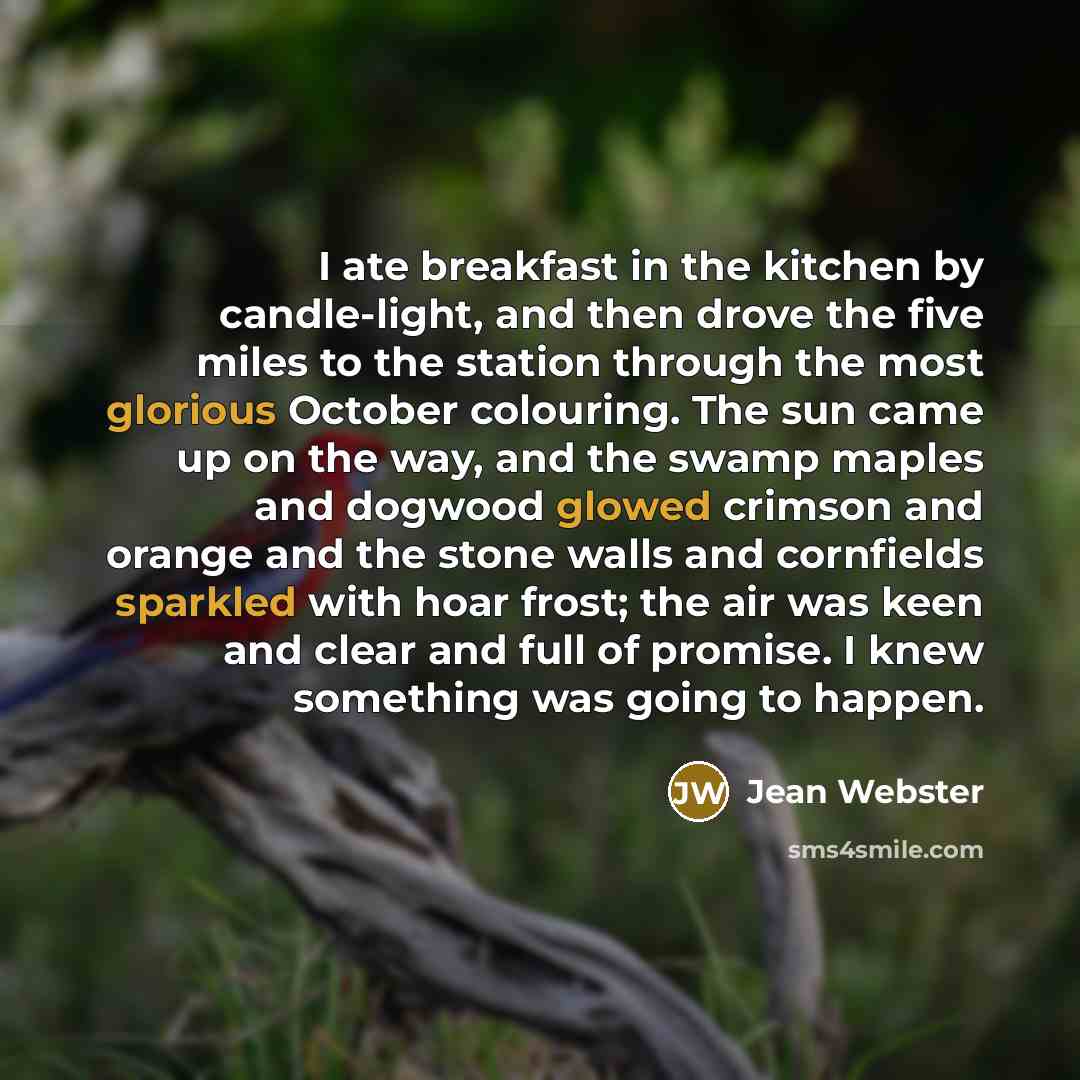 “I ate breakfast in the kitchen by candle-light, and then drove the five miles to the station through the most glorious October colouring. The sun came up on the way, and the swamp maples and dogwood glowed crimson and orange and the stone walls and cornfields sparkled with hoar frost; the air was…” quote by Jean Webster