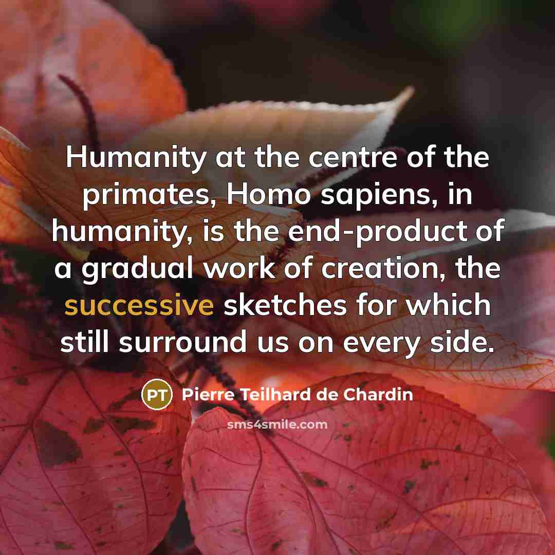 “Humanity at the centre of the primates, Homo sapiens, in humanity, is the end-product of a gradual work of creation, the successive sketches for which still surround us on every side.” quote by Pierre Teilhard de Chardin