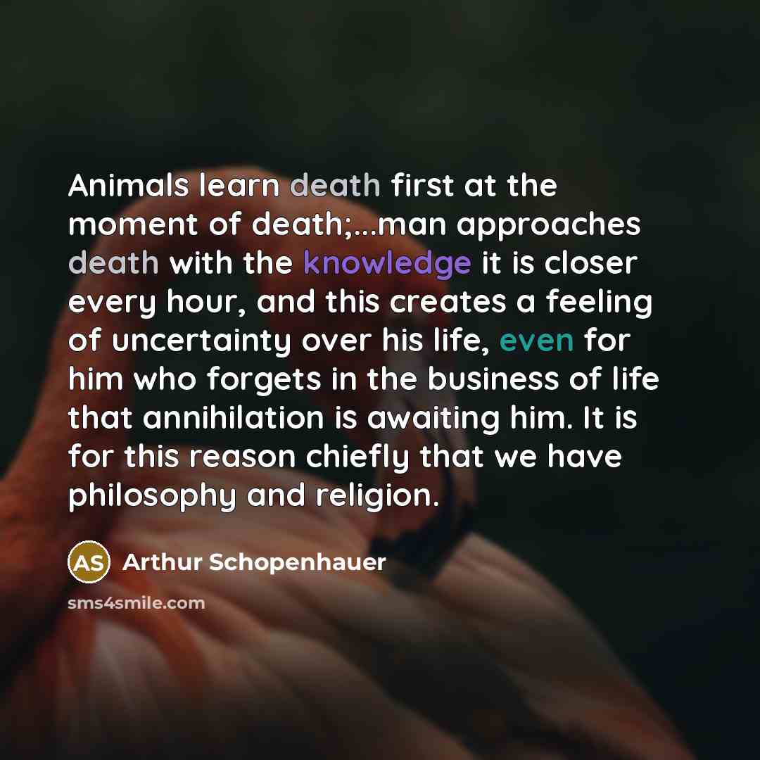 “Animals learn death first at the moment of death;...man approaches death with the knowledge it is closer every hour, and this creates a feeling of uncertainty over his life, even for him who forgets in the business of life that annihilation is awaiting him. It is for this reason chiefly that we…” quote by Arthur Schopenhauer