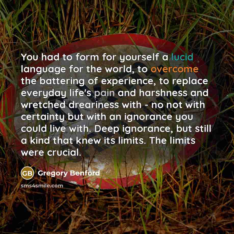 “You had to form for yourself a lucid language for the world, to overcome the battering of experience, to replace everyday life's pain and harshness and wretched dreariness with - no not with certainty but with an ignorance you could live with. Deep ignorance, but still a kind that knew its limits…” quote by Gregory Benford