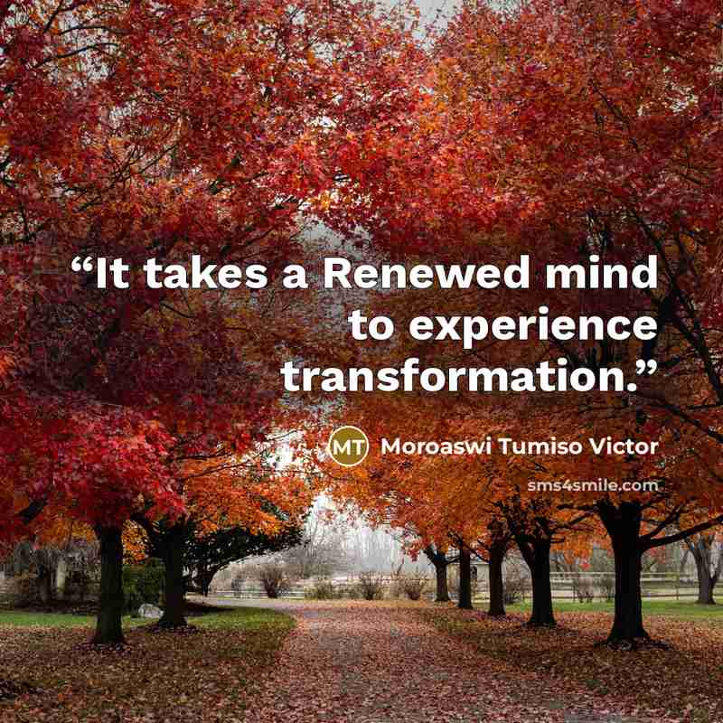 “It takes a Renewed mind to experience transformation.” quote by Moroaswi Tumiso Victor