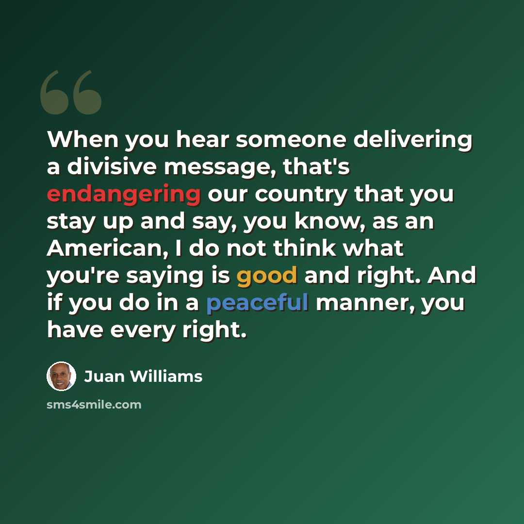 “When you hear someone delivering a divisive message, that's endangering our country that you stay up and say, you know, as an American, I do not think what you're saying is good and right. And if you do in a peaceful manner, you have every right.” quote by Juan Williams