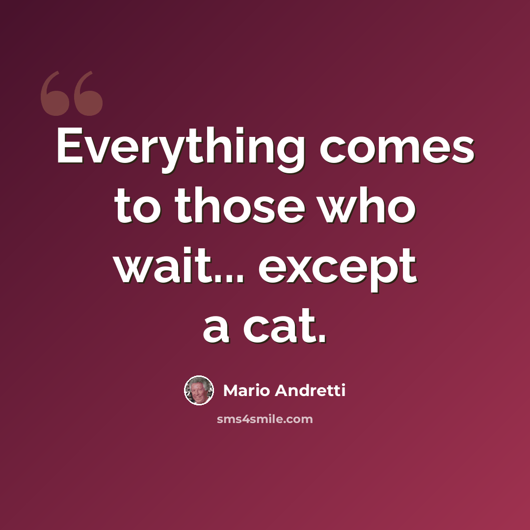 “Everything comes to those who wait... except a cat.” quote by Mario Andretti