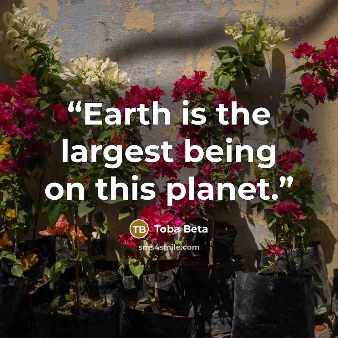 “Earth is the largest being on this planet.” quote by Toba Beta