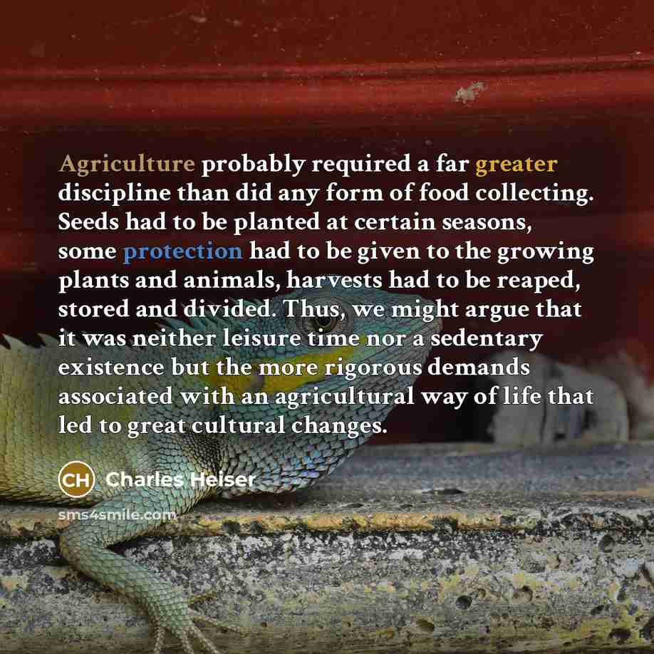“Agriculture probably required a far greater discipline than did any form of food collecting. Seeds had to be planted at certain seasons, some protection had to be given to the growing plants and animals, harvests had to be reaped, stored and divided. Thus, we might argue that it was neither…” quote by Charles Heiser