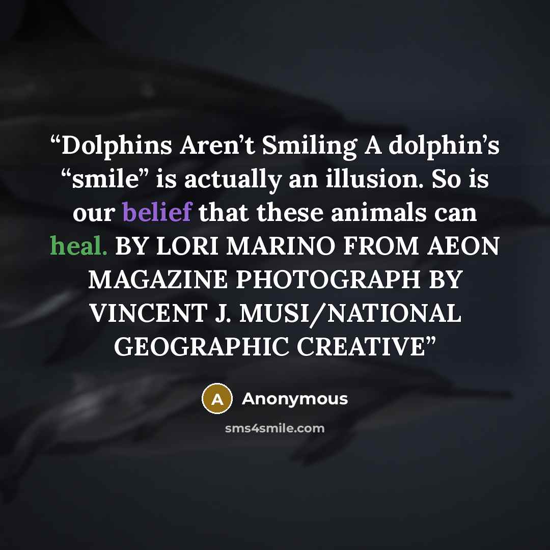 “Dolphins Aren’t Smiling A dolphin’s “smile” is actually an illusion. So is our belief that these animals can heal. BY LORI MARINO FROM AEON MAGAZINE PHOTOGRAPH BY VINCENT J. MUSI/NATIONAL GEOGRAPHIC CREATIVE” quote by Anonymous