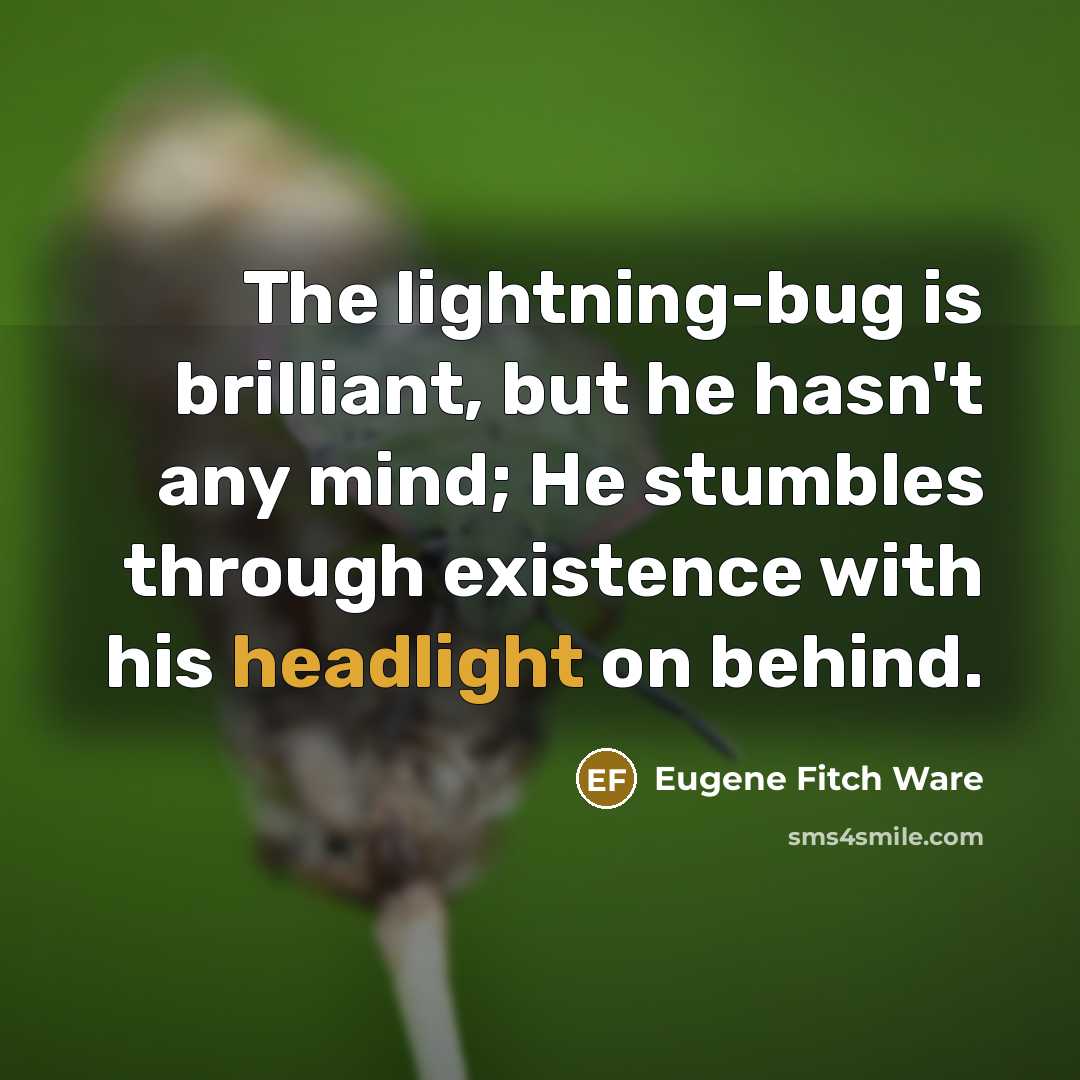 “The lightning-bug is brilliant, but he hasn't any mind; He stumbles through existence with his headlight on behind.” quote by Eugene Fitch Ware