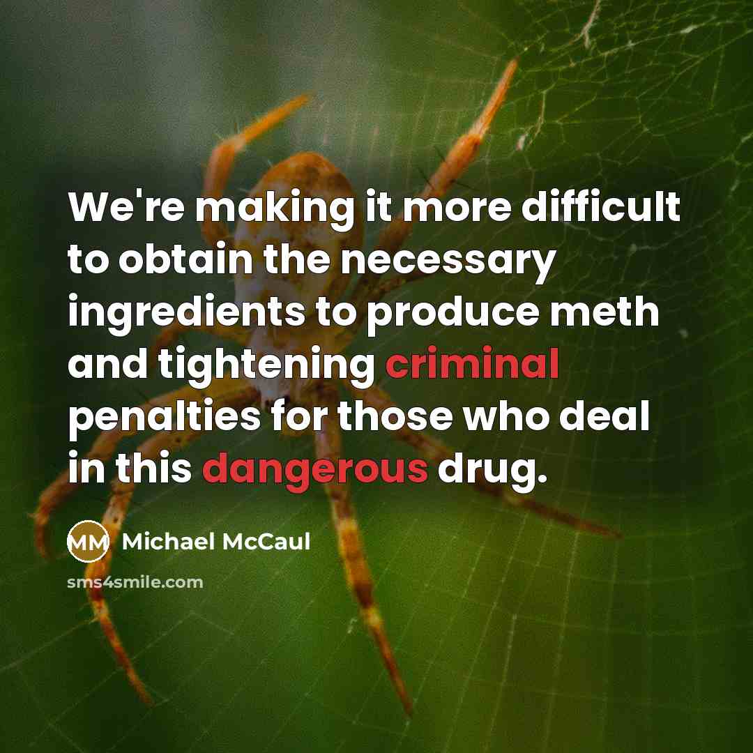 “We're making it more difficult to obtain the necessary ingredients to produce meth and tightening criminal penalties for those who deal in this dangerous drug.” quote by Michael McCaul