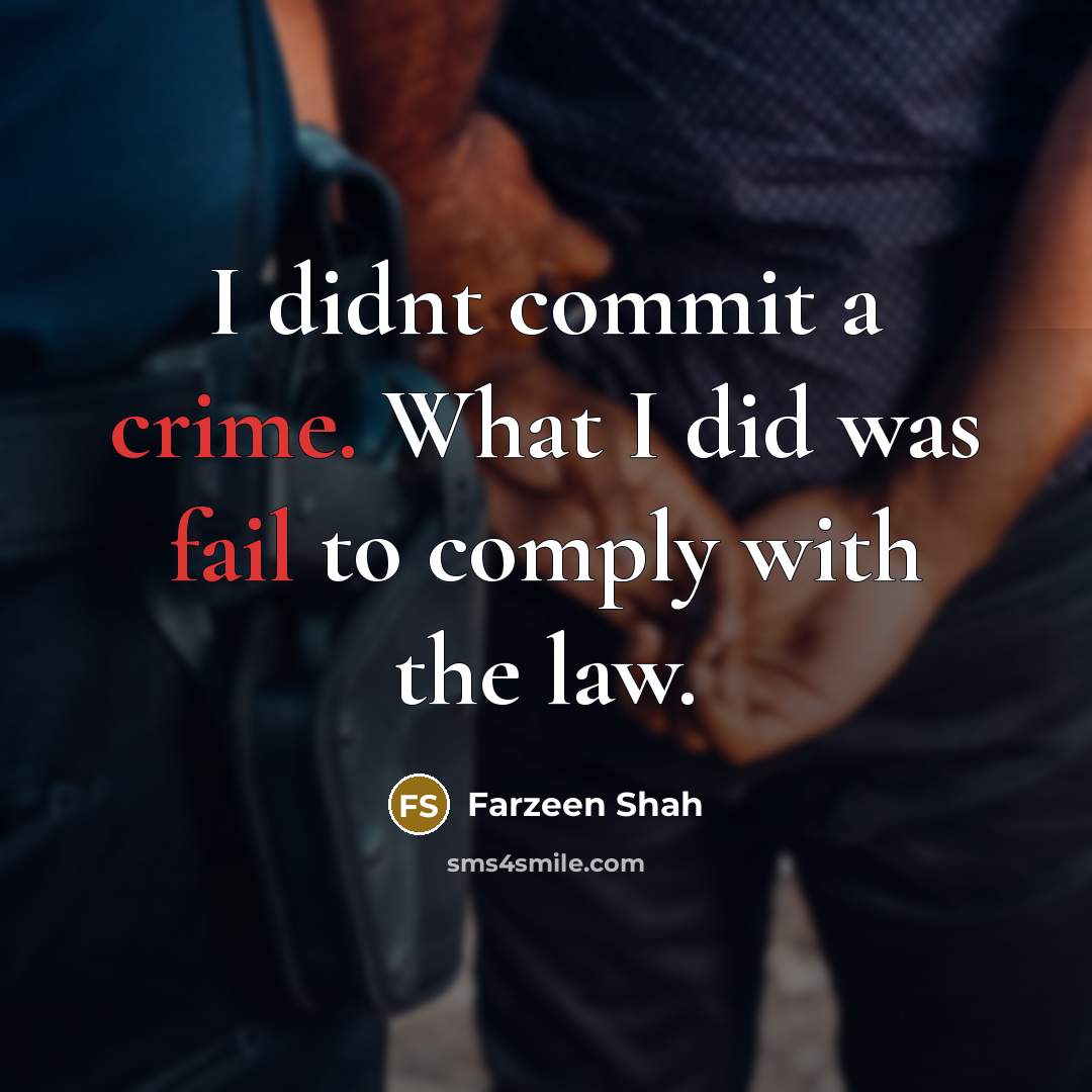 “I didnt commit a crime. What I did was fail to comply with the law.” quote by Farzeen Shah