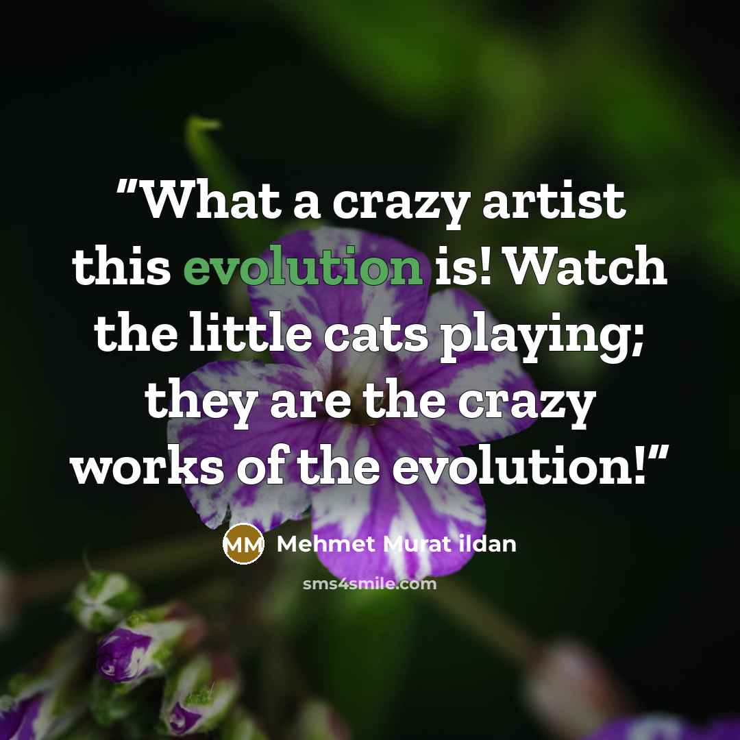 “What a crazy artist this evolution is! Watch the little cats playing; they are the crazy works of the evolution!” quote by Mehmet Murat ildan