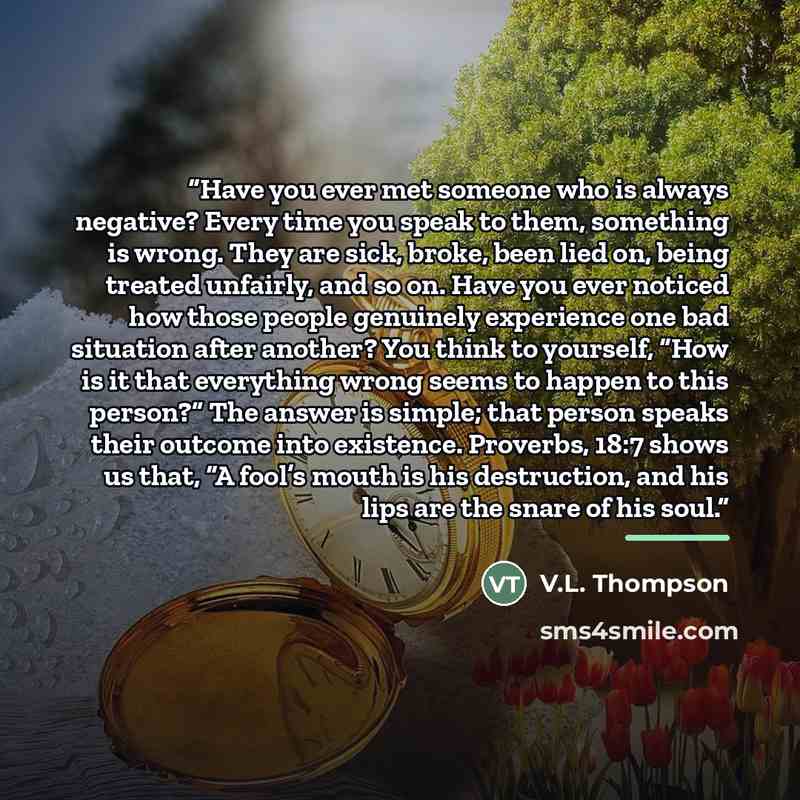 “Have you ever met someone who is always negative? Every time you speak to them, something is wrong. They are sick, broke, been lied on, being treated unfairly, and so on. Have you ever noticed how those people genuinely experience one bad situation after another? You think to yourself, “How is it…” quote by V.L. Thompson