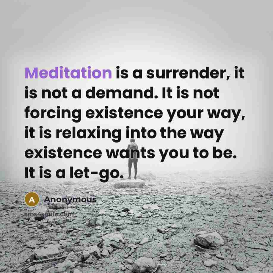 “Meditation is a surrender, it is not a demand. It is not forcing existence your way, it is relaxing into the way existence wants you to be. It is a let-go.” quote by Anonymous