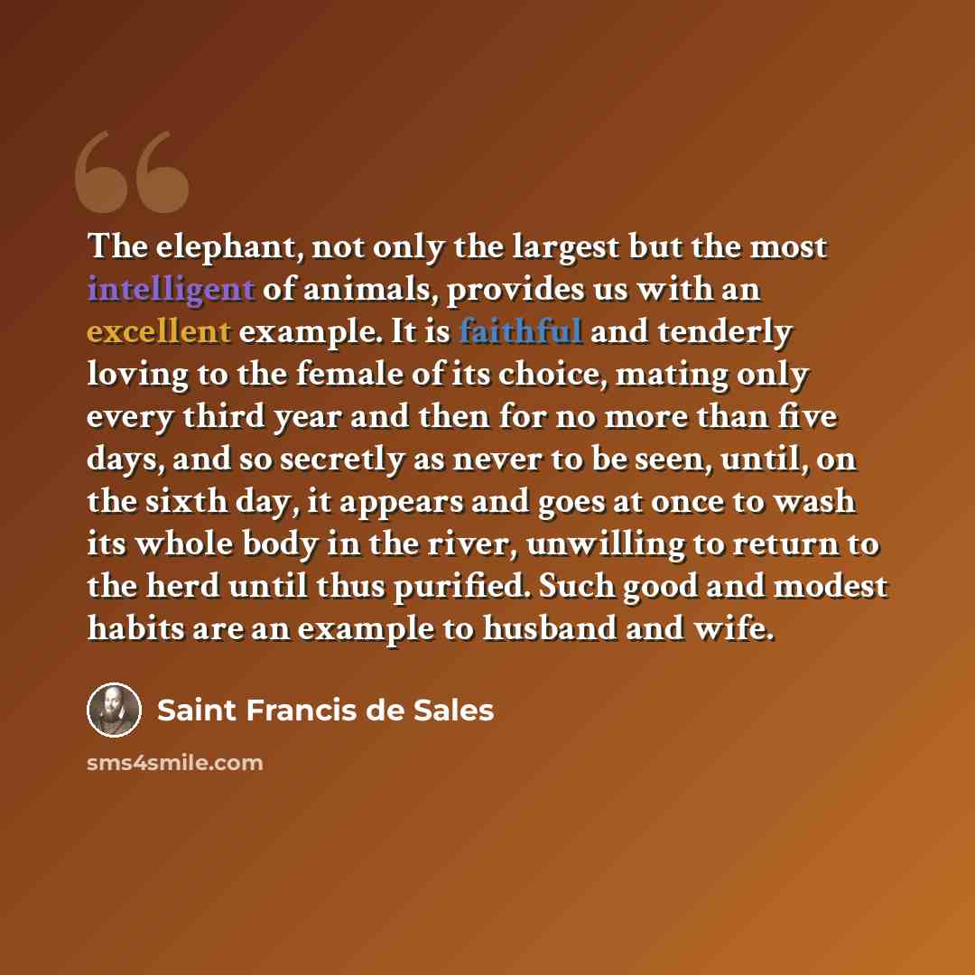 “The elephant, not only the largest but the most intelligent of animals, provides us with an excellent example. It is faithful and tenderly loving to the female of its choice, mating only every third year and then for no more than five days, and so secretly as never to be seen, until, on the sixth…” quote by Saint Francis de Sales
