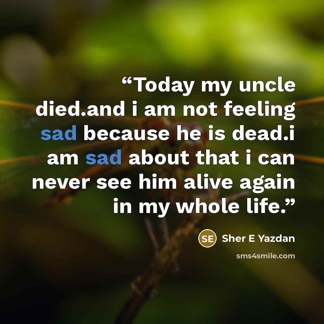 “Today my uncle died.and i am not feeling sad because he is dead.i am sad about that i can never see him alive again in my whole life.” quote by Sher E Yazdan