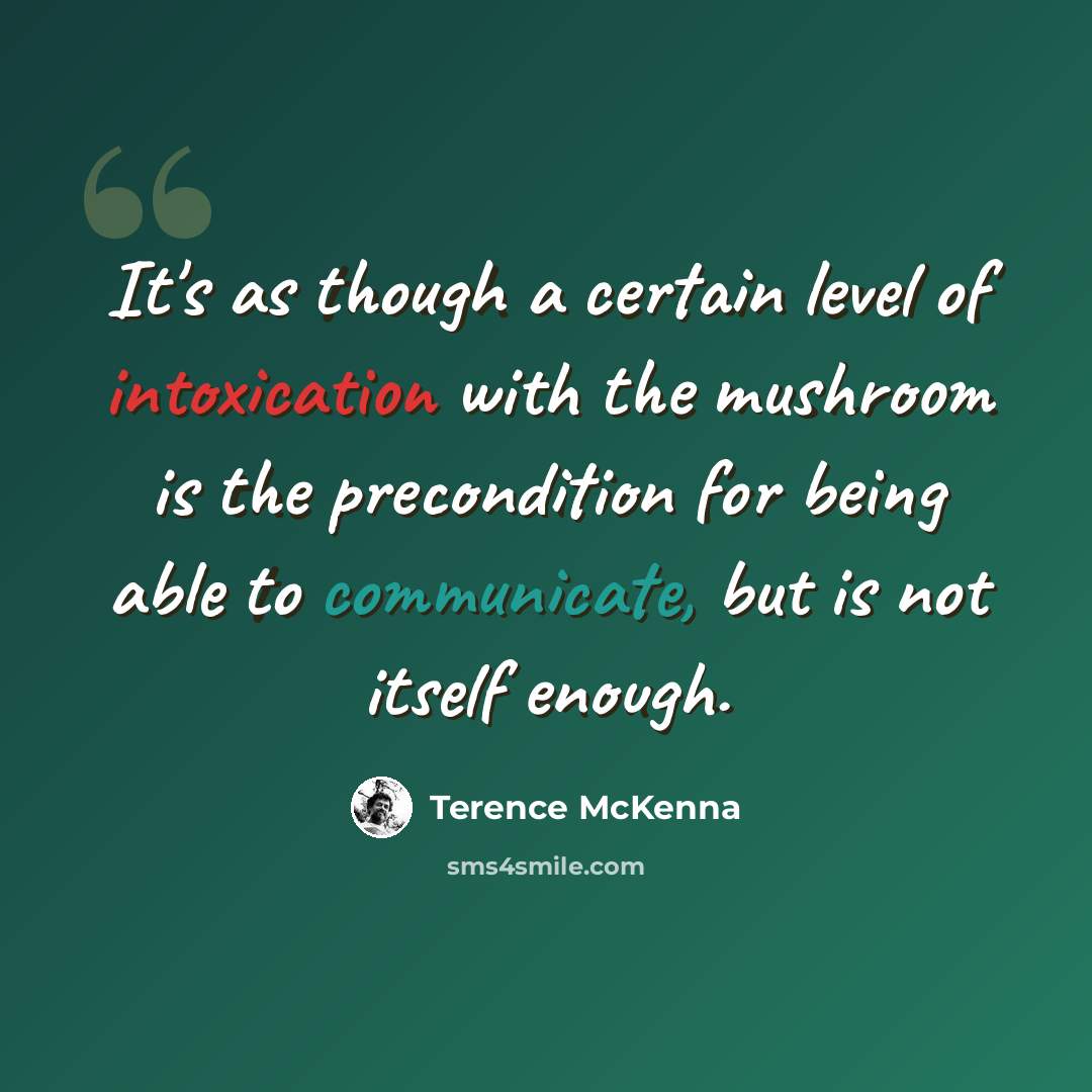 “It's as though a certain level of intoxication with the mushroom is the precondition for being able to communicate, but is not itself enough.” quote by Terence McKenna
