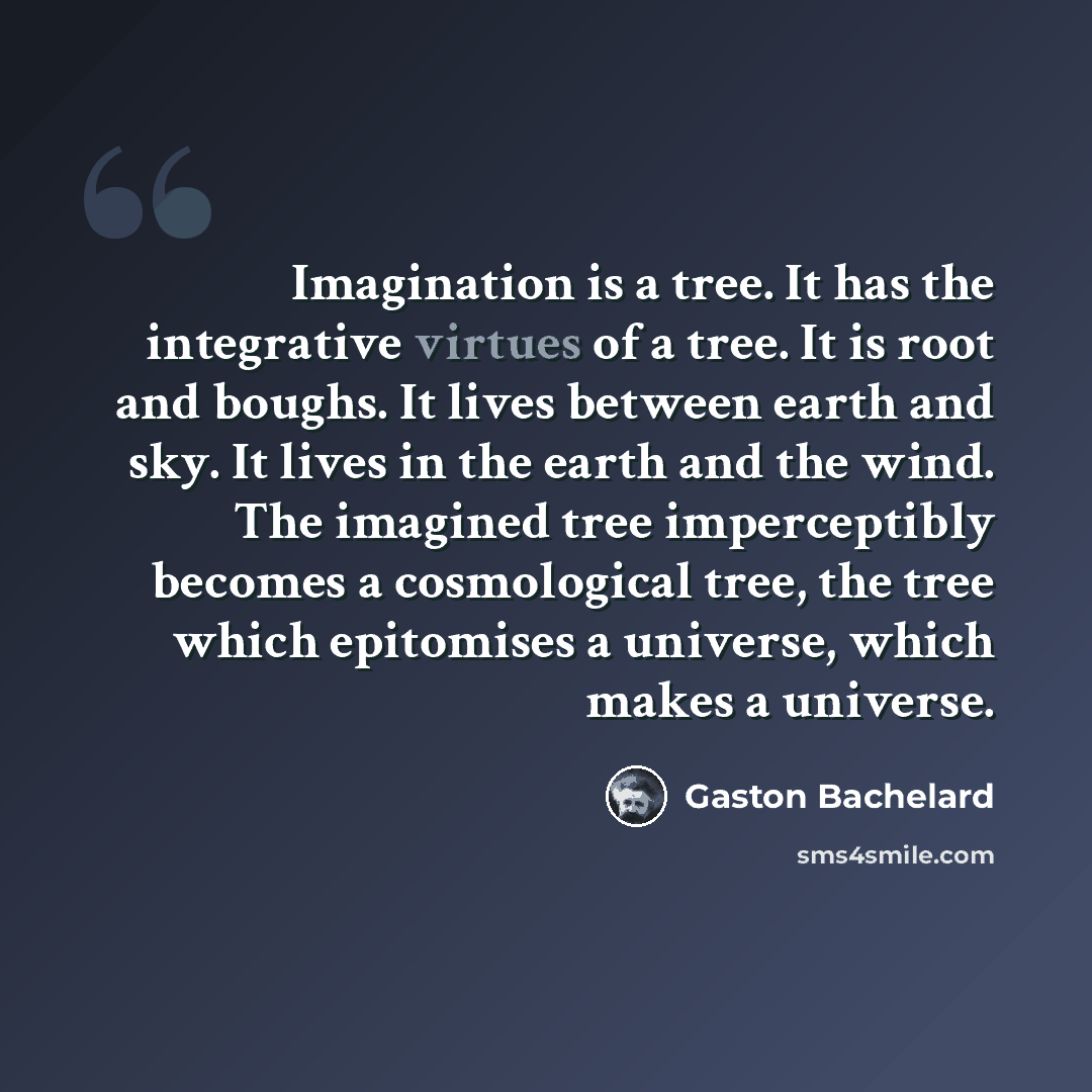 “Imagination is a tree. It has the integrative virtues of a tree. It is root and boughs. It lives between earth and sky. It lives in the earth and the wind. The imagined tree imperceptibly becomes a cosmological tree, the tree which epitomises a universe, which makes a universe.” quote by Gaston Bachelard