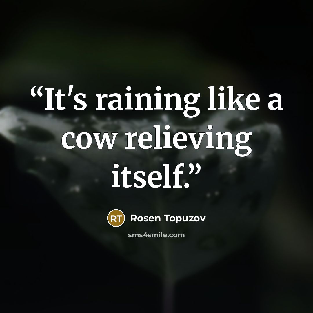 “It's raining like a cow relieving itself.” quote by Rosen Topuzov