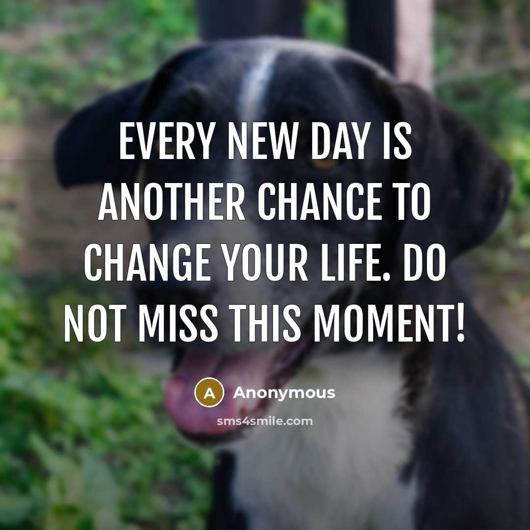 “Every new day is another chance to change your life. Do not miss this moment!” quote by Anonymous