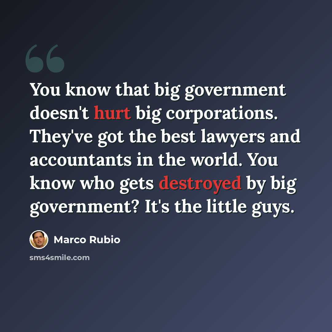 “You know that big government doesn't hurt big corporations. They've got the best lawyers and accountants in the world. You know who gets destroyed by big government? It's the little guys.” quote by Marco Rubio