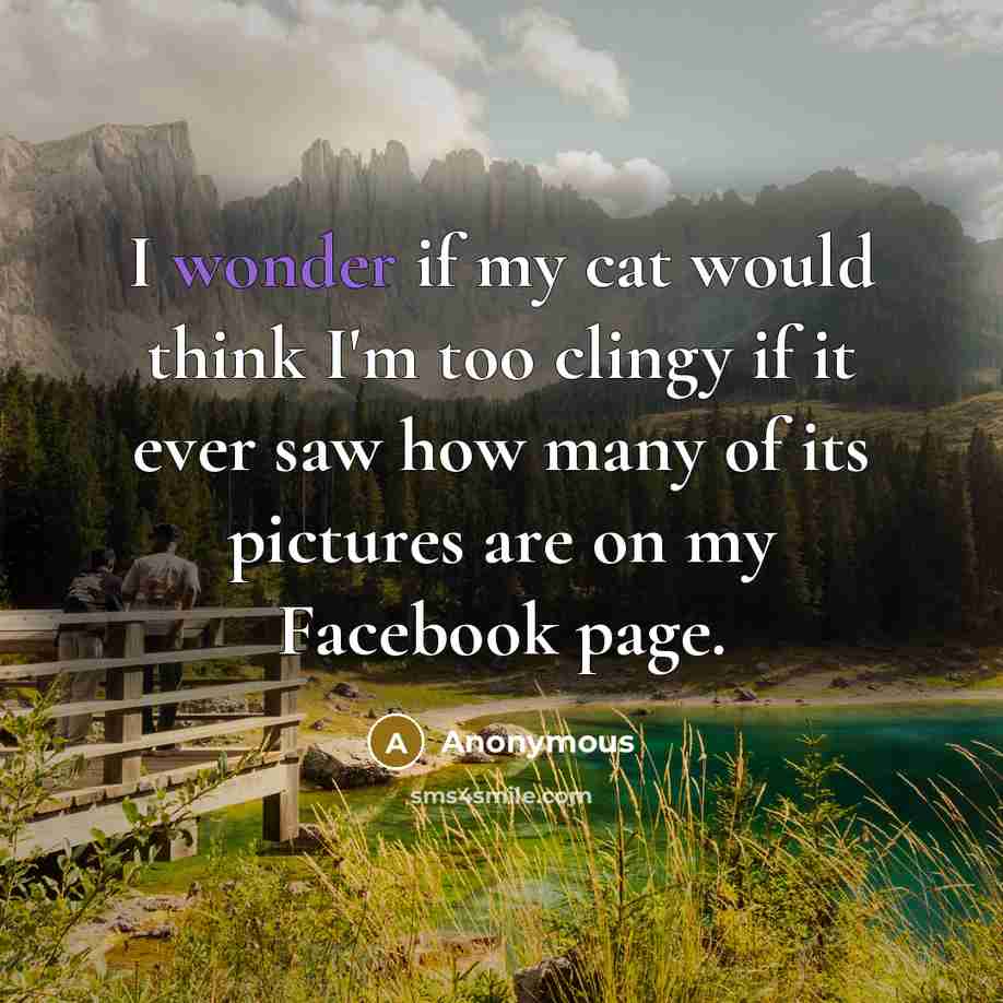 “I wonder if my cat would think I'm too clingy if it ever saw how many of its pictures are on my Facebook page.” quote by Anonymous