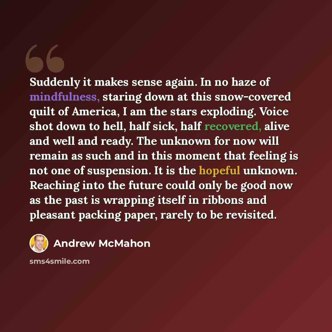 “Suddenly it makes sense again. In no haze of mindfulness, staring down at this snow-covered quilt of America, I am the stars exploding. Voice shot down to hell, half sick, half recovered, alive and well and ready. The unknown for now will remain as such and in this moment that feeling is not one…” quote by Andrew McMahon