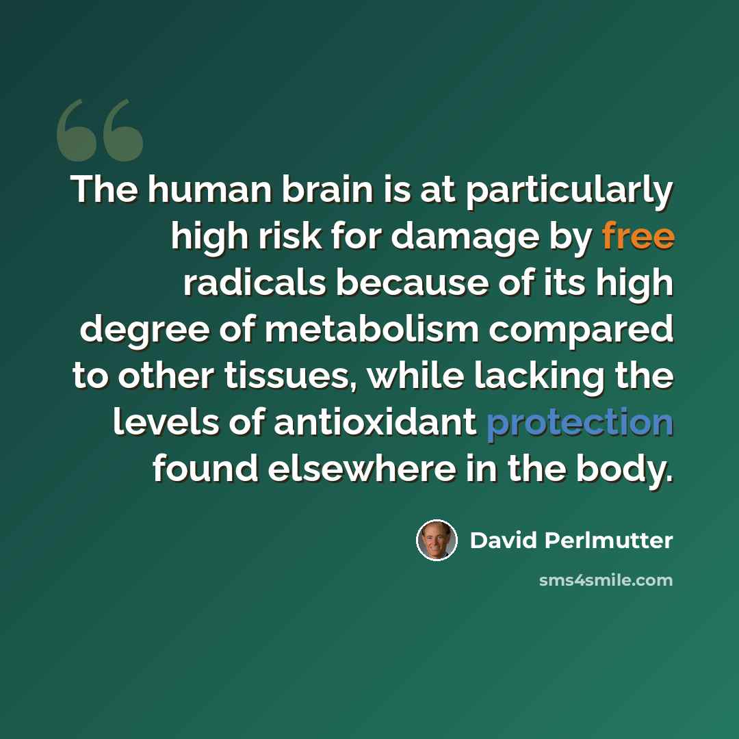 “The human brain is at particularly high risk for damage by free radicals because of its high degree of metabolism compared to other tissues, while lacking the levels of antioxidant protection found elsewhere in the body.” quote by David Perlmutter