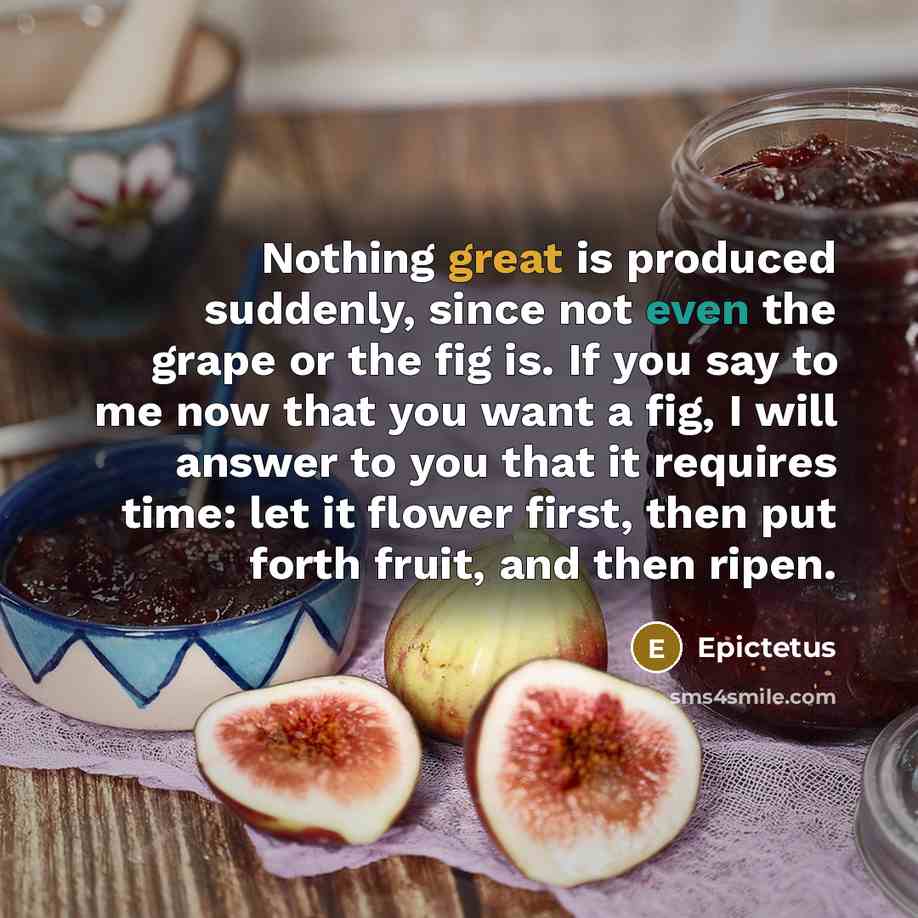 “Nothing great is produced suddenly, since not even the grape or the fig is. If you say to me now that you want a fig, I will answer to you that it requires time: let it flower first, then put forth fruit, and then ripen.” quote by Epictetus