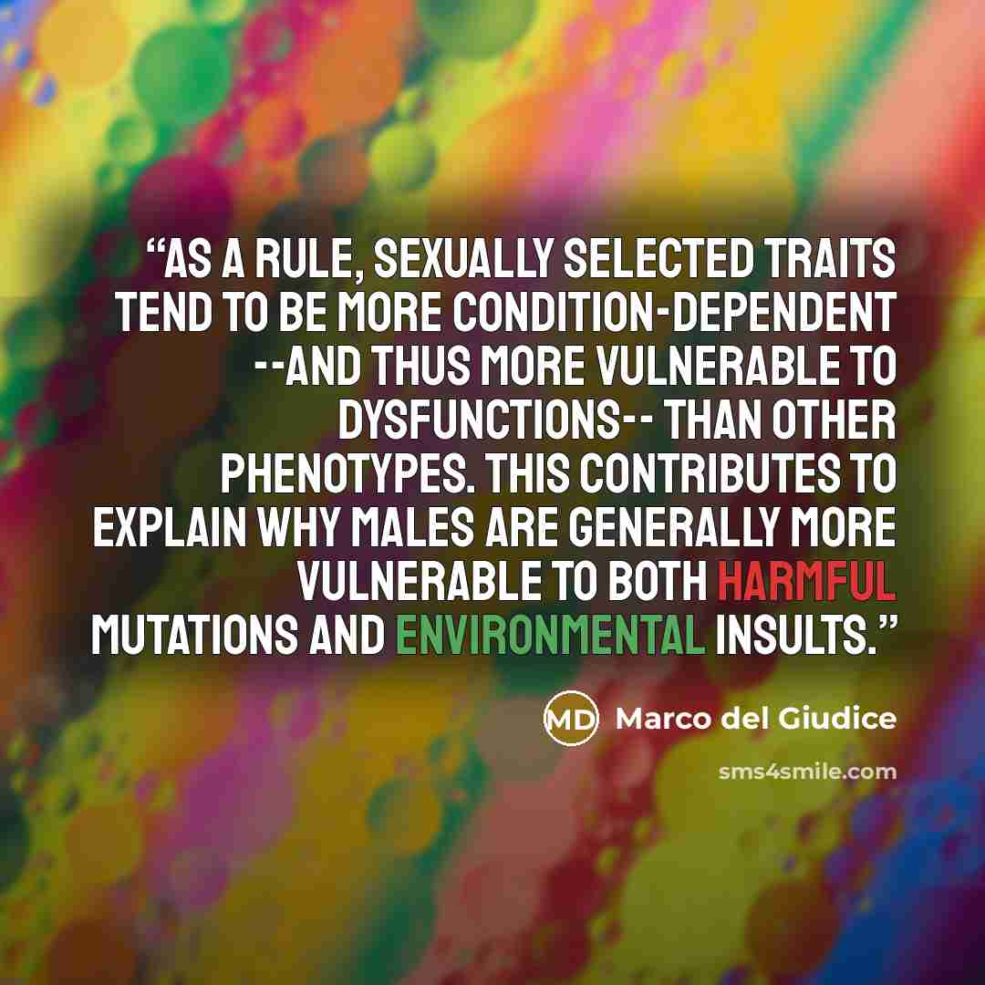 “As a rule, sexually selected traits tend to be more condition-dependent --and thus more vulnerable to dysfunctions-- than other phenotypes. This contributes to explain why males are generally more vulnerable to both harmful mutations and environmental insults.” quote by Marco del Giudice