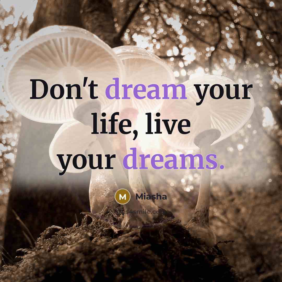 “Don't dream your life, live your dreams.” quote by Miasha