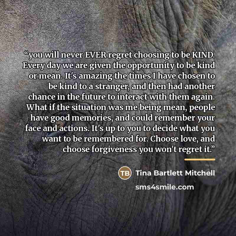 “you will never EVER regret choosing to be KIND. Every day we are given the opportunity to be kind or mean. It's amazing the times I have chosen to be kind to a stranger, and then had another chance in the future to interact with them again. What if the situation was me being mean, people have good…” quote by Anonymous