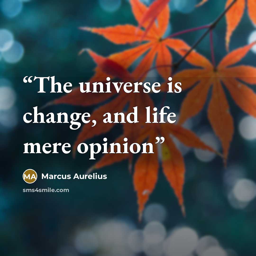“The universe is change, and life mere opinion” quote by Marcus Aurelius