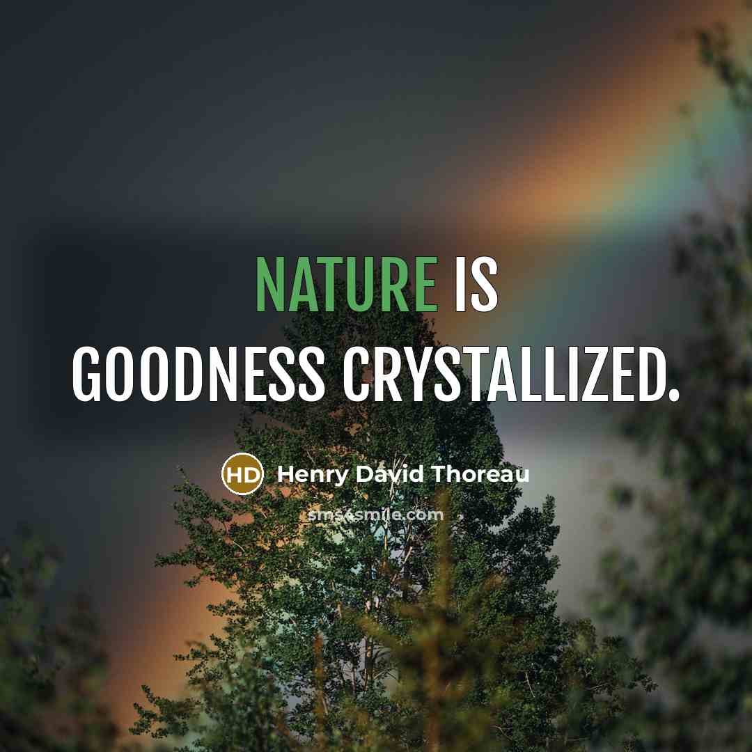 “Nature is goodness crystallized.” quote by Henry David Thoreau