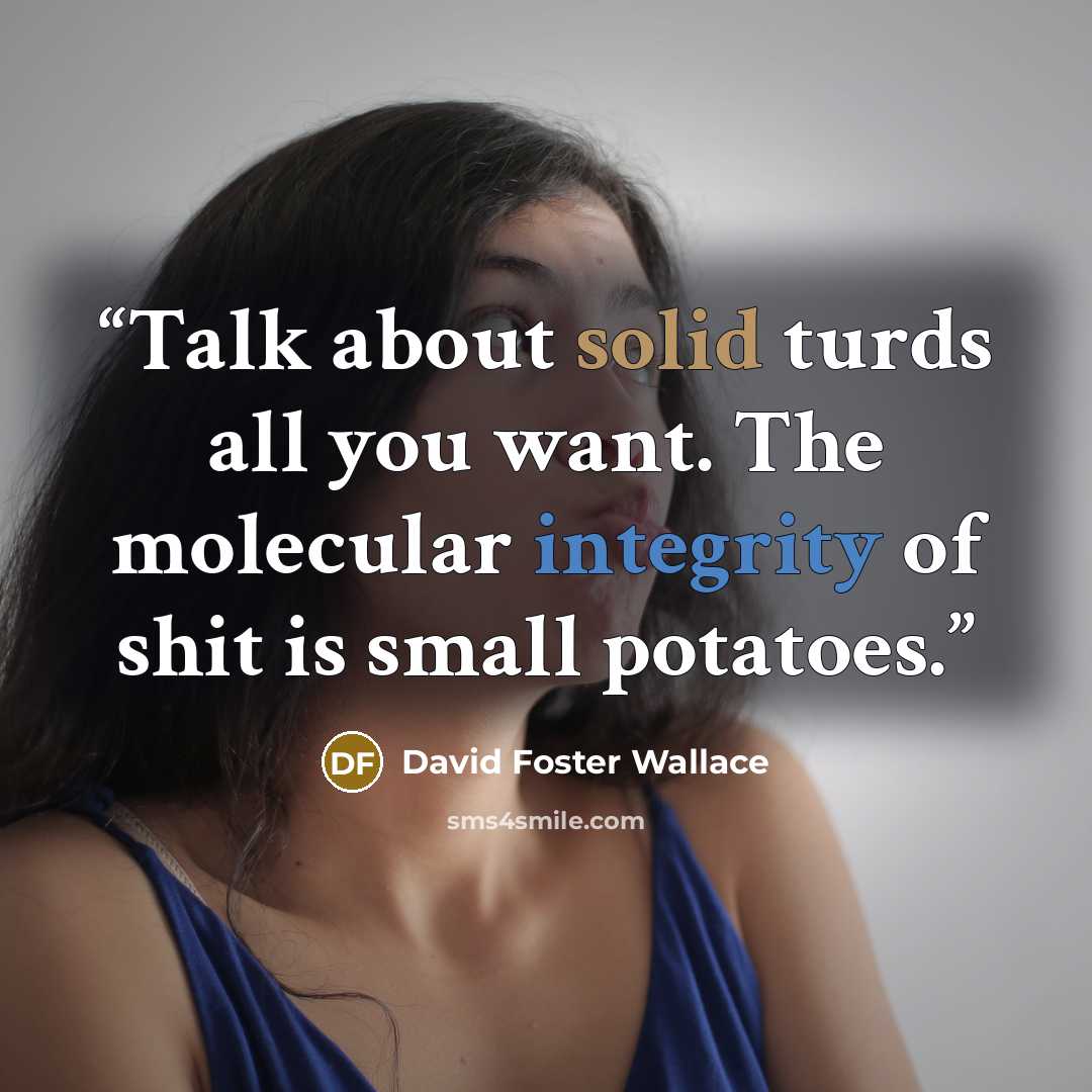 “Talk about solid turds all you want. The molecular integrity of shit is small potatoes.” quote by David Foster Wallace