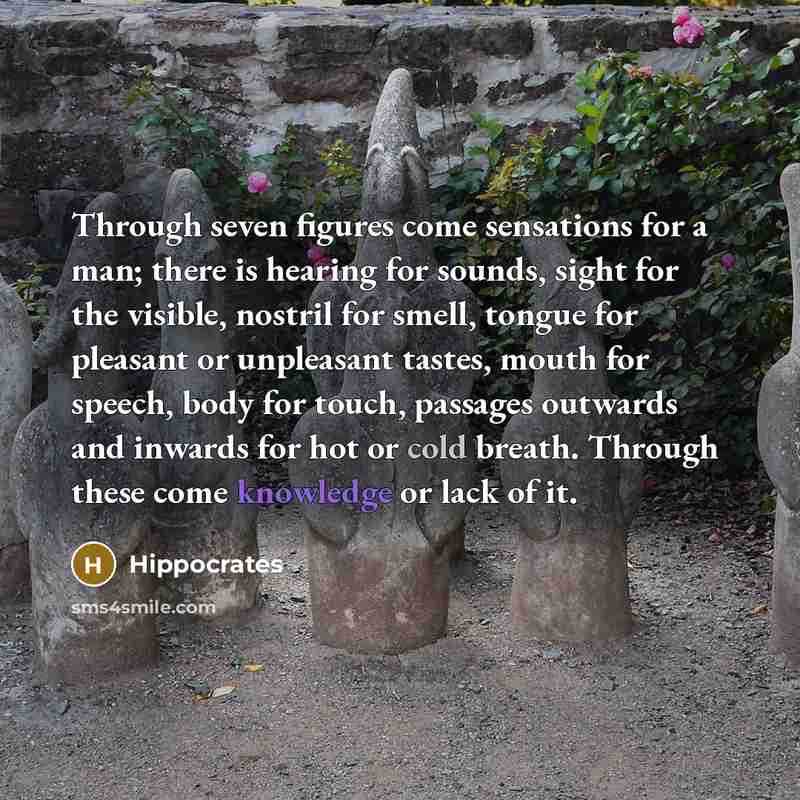 “Through seven figures come sensations for a man; there is hearing for sounds, sight for the visible, nostril for smell, tongue for pleasant or unpleasant tastes, mouth for speech, body for touch, passages outwards and inwards for hot or cold breath. Through these come knowledge or lack of it.” quote by Hippocrates