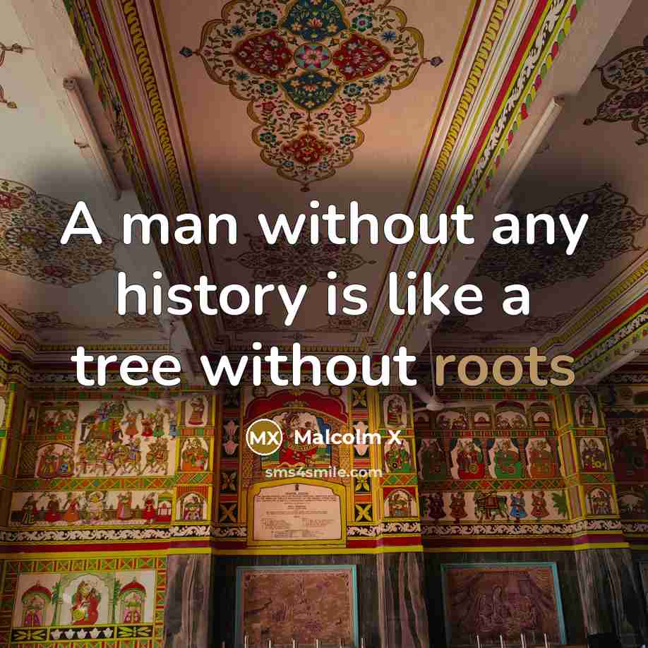 “A man without any history is like a tree without roots” quote by Malcolm X
