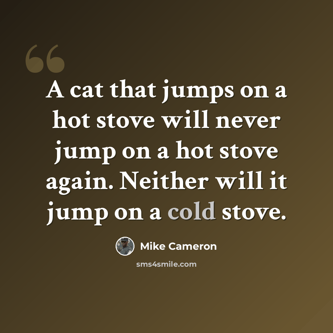 “A cat that jumps on a hot stove will never jump on a hot stove again. Neither will it jump on a cold stove.” quote by Mike Cameron