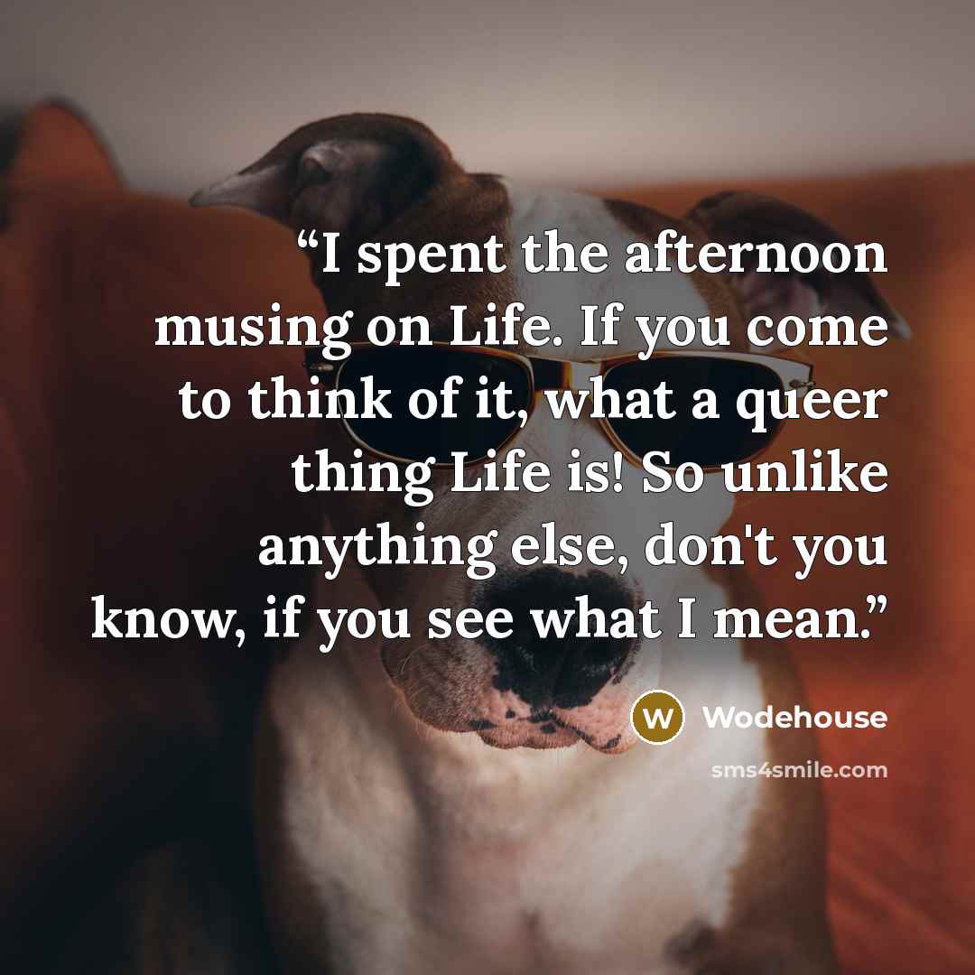 “I spent the afternoon musing on Life. If you come to think of it, what a queer thing Life is! So unlike anything else, don't you know, if you see what I mean.” quote by Wodehouse