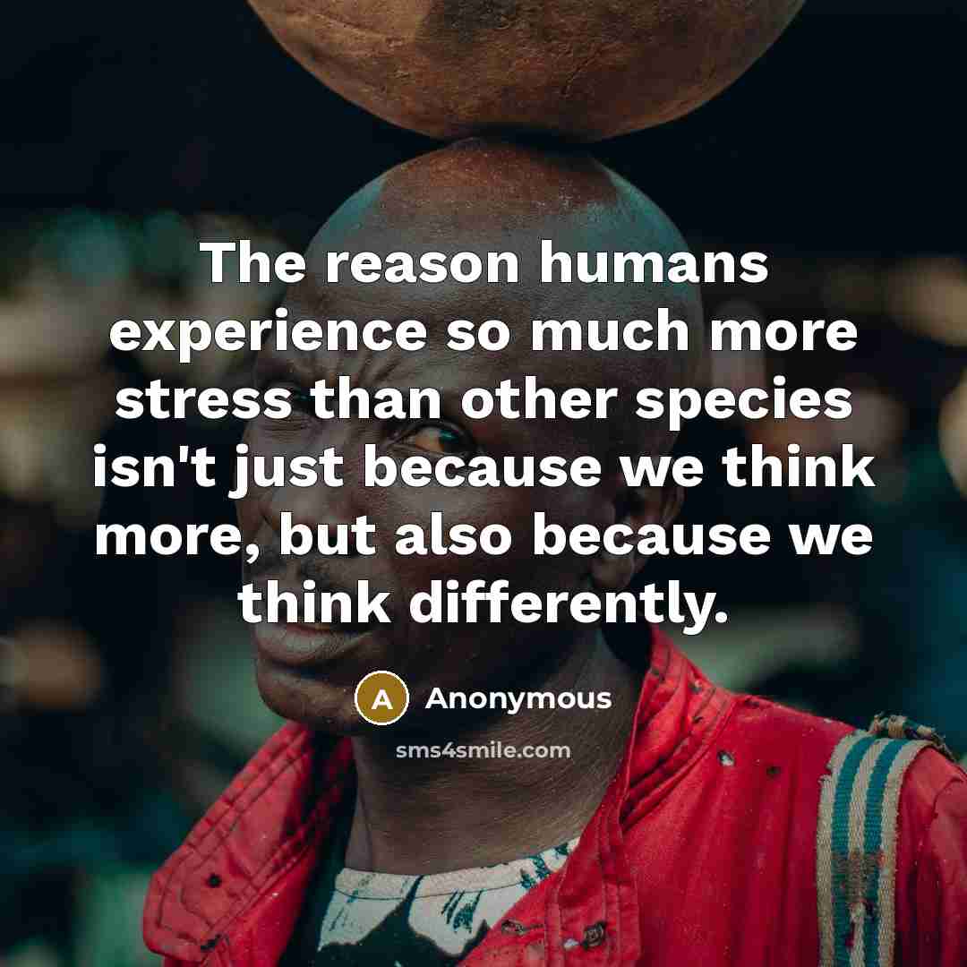 “The reason humans experience so much more stress than other species isn't just because we think more, but also because we think differently.” quote by Anonymous