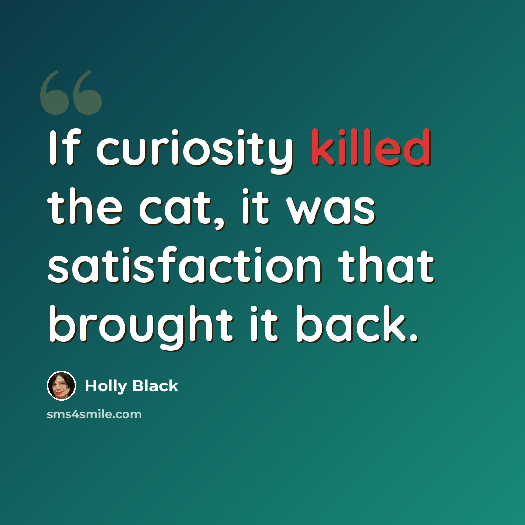 “If curiosity killed the cat, it was satisfaction that brought it back.” quote by Holly Black