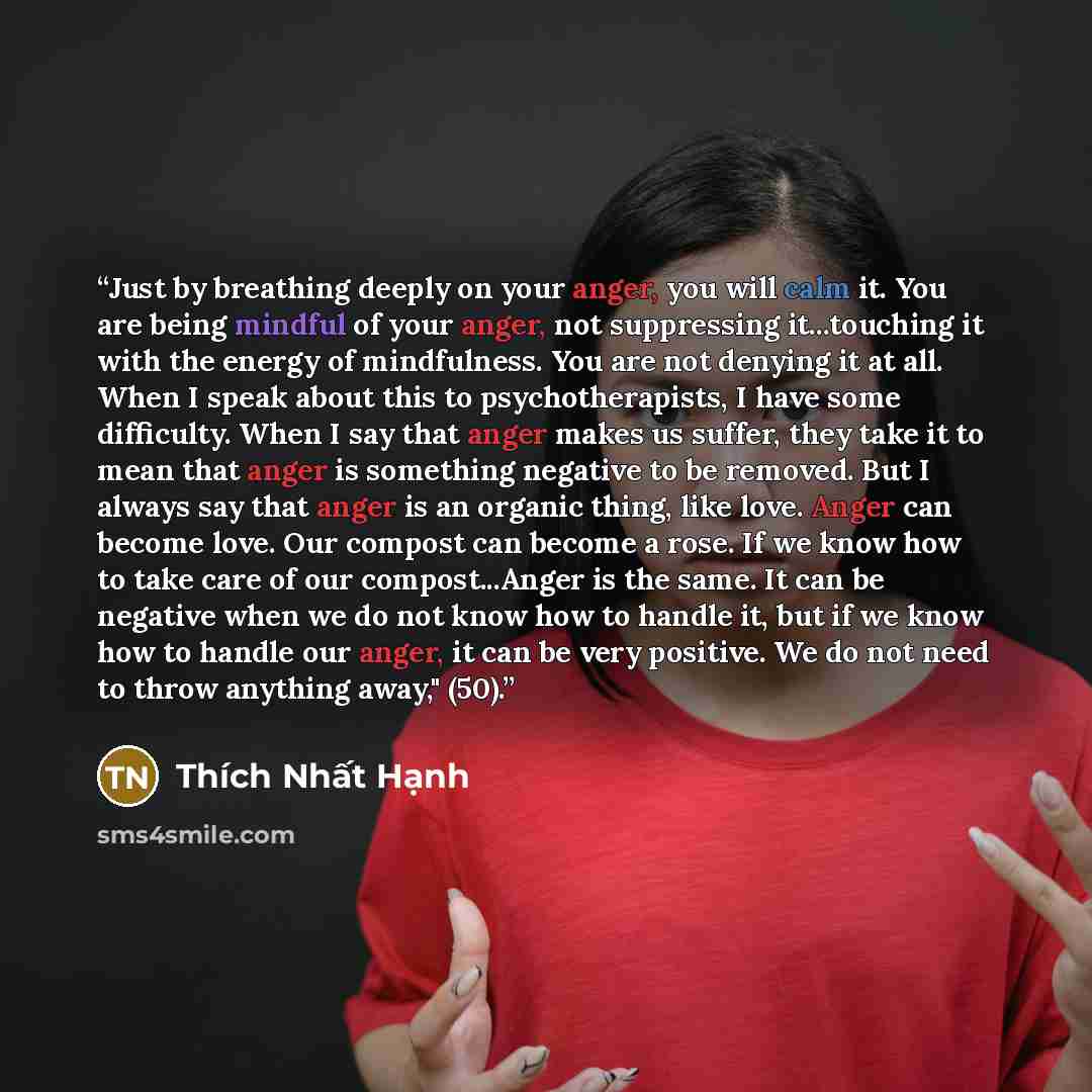 “Just by breathing deeply on your anger, you will calm it. You are being mindful of your anger, not suppressing it...touching it with the energy of mindfulness. You are not denying it at all. When I speak about this to psychotherapists, I have some difficulty. When I say that anger makes us suffer…” quote by Thich Nhat Hanh